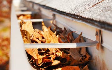 Hanwood Bank gutter cleaning companies